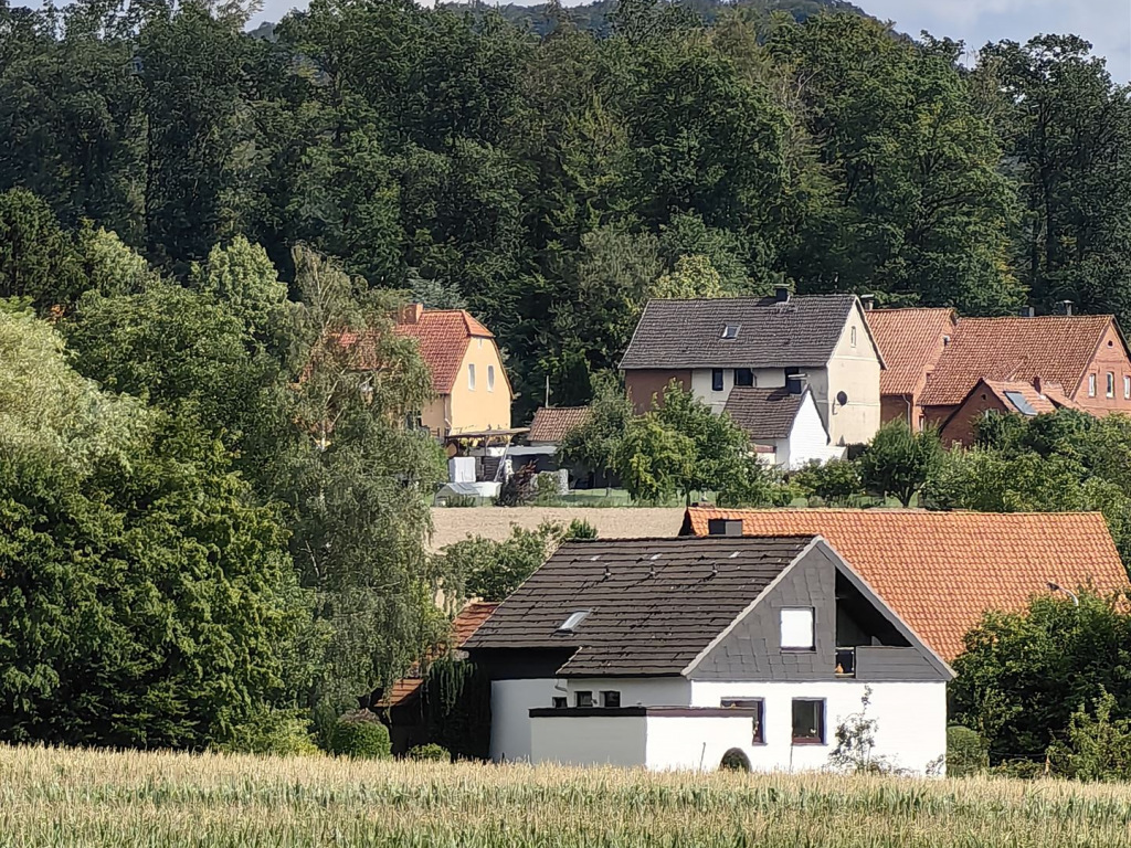 Bild von Buchholz einige Häuser