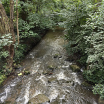 Bild von Buchholz , die Aue