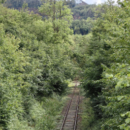 Bild von Buchholz  alte Bahnstrecke Richtung Bad Eilsen