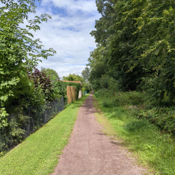 Bild von Buchholz Weg am Wald entlang